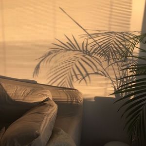 Meet your Posher, Fabiola